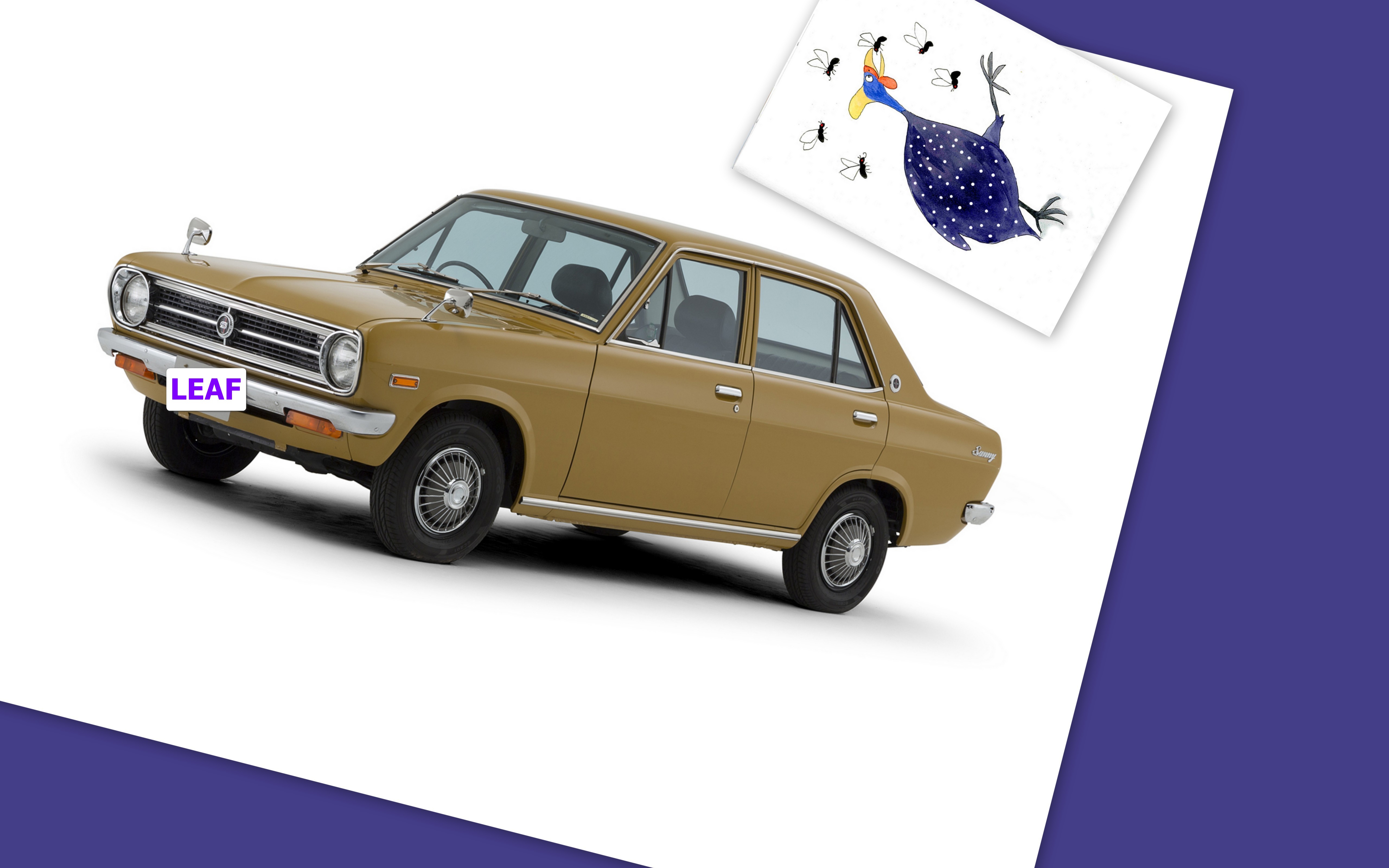 Clittering Goach &amp; Guinea