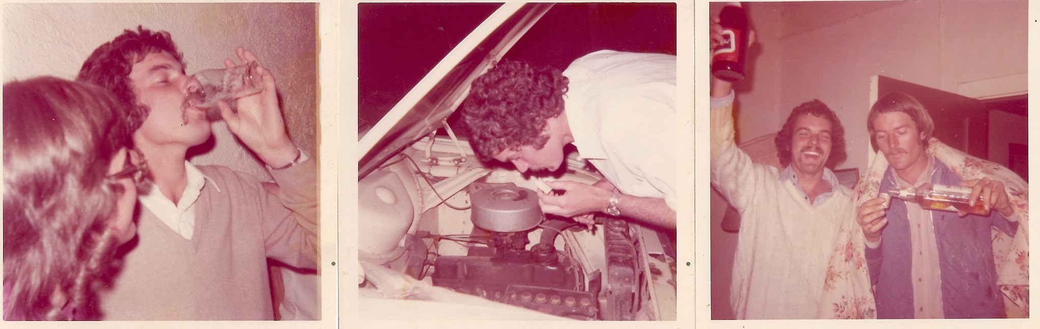 The Bend Spatch Lettuce