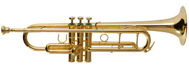 A trumpet? Or were we just&nbsp;trumped?