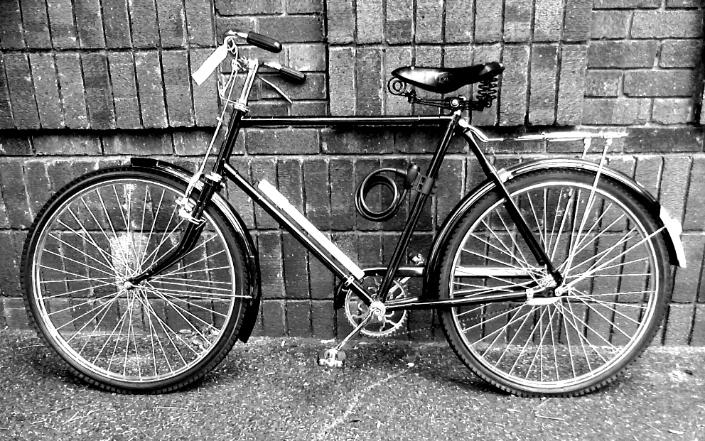 Bicycle Dikwiel deluxe.jpg