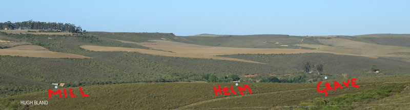 Being Bland in Africa (two branches . .&nbsp;)