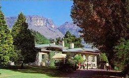 Borrowing Cars Genetic?