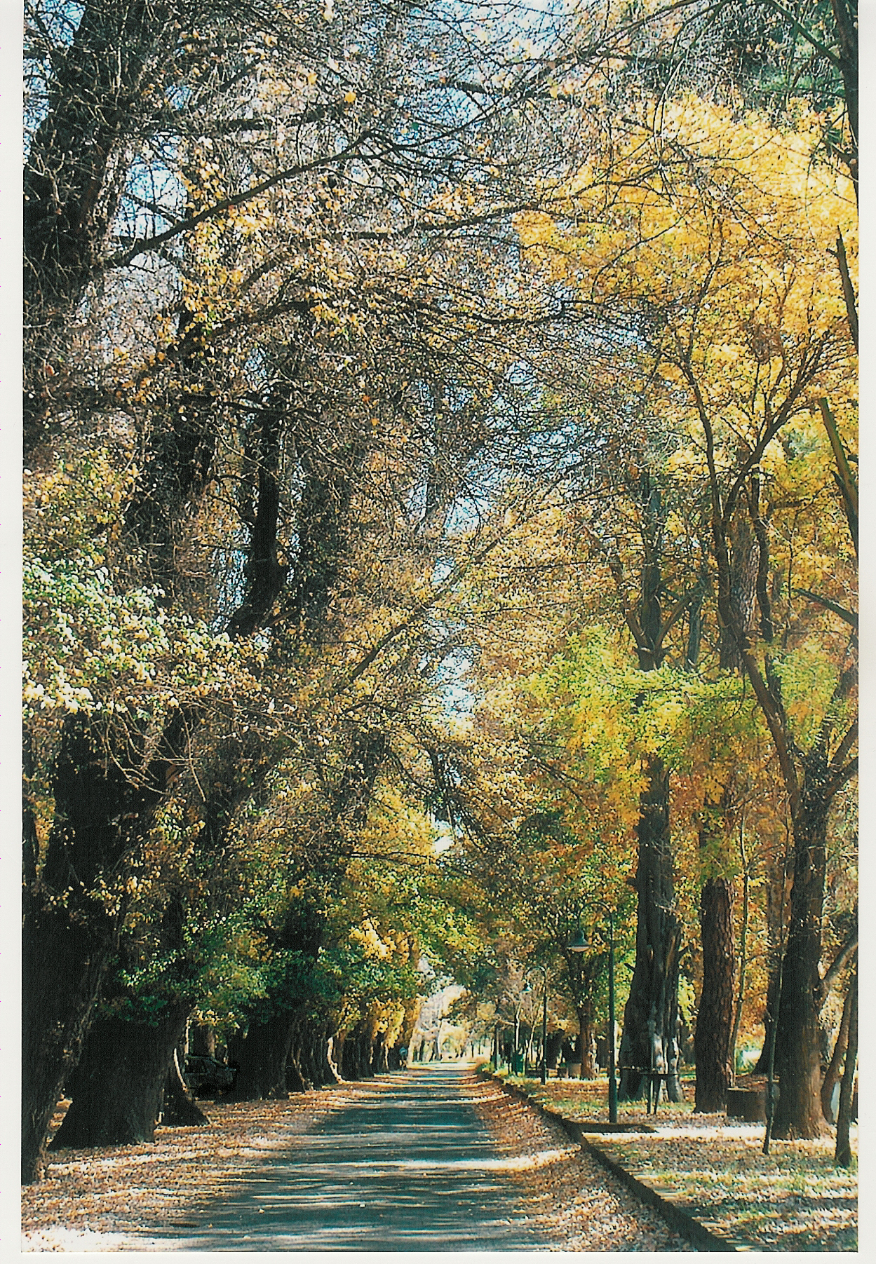 Harrismith Park (7)