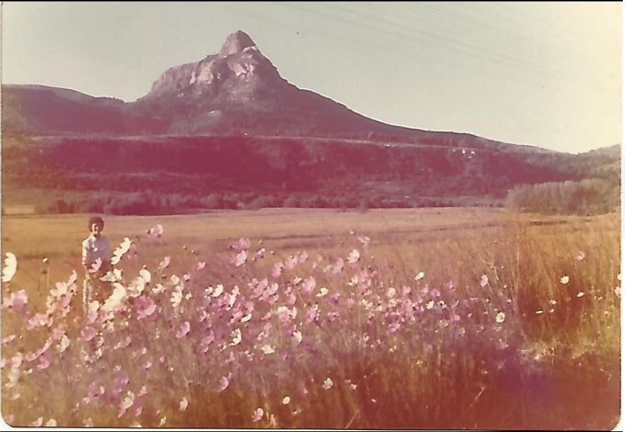 Sheila cosmos Platberg.JPG