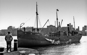 coaster robin, british