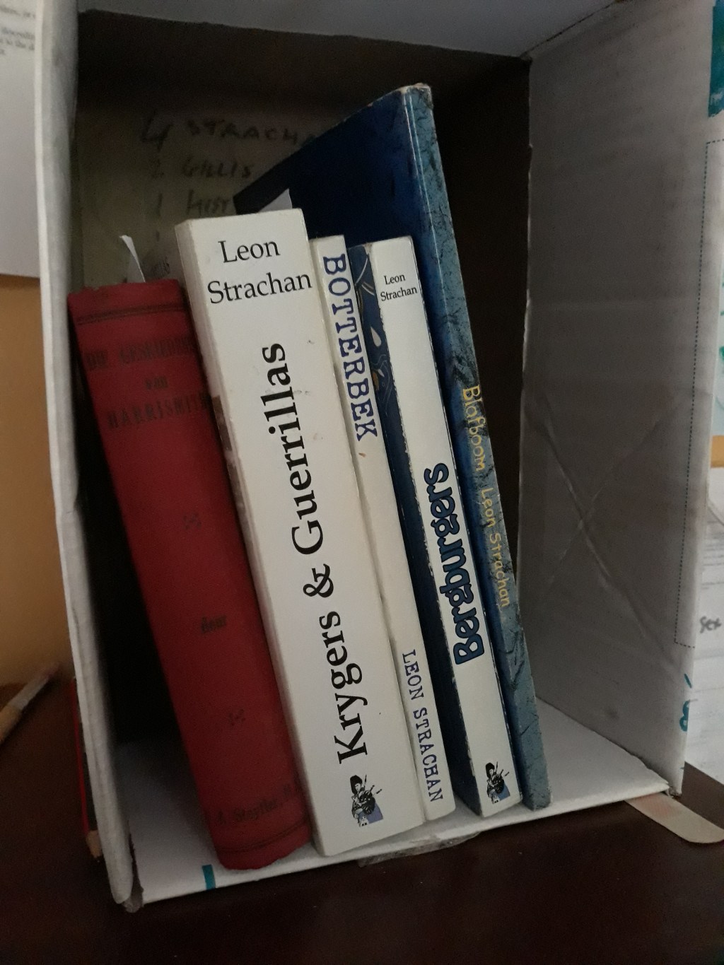 Harrismith Author Leon&nbsp;Strachan