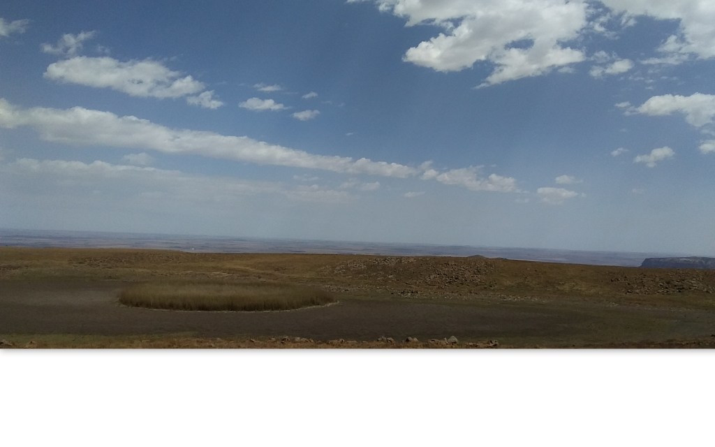 Another Successful Campaign