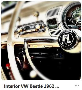 An Inordinate Fondness for&nbsp;Beetles