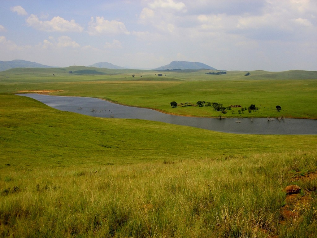 Precious Highveld Grasslands